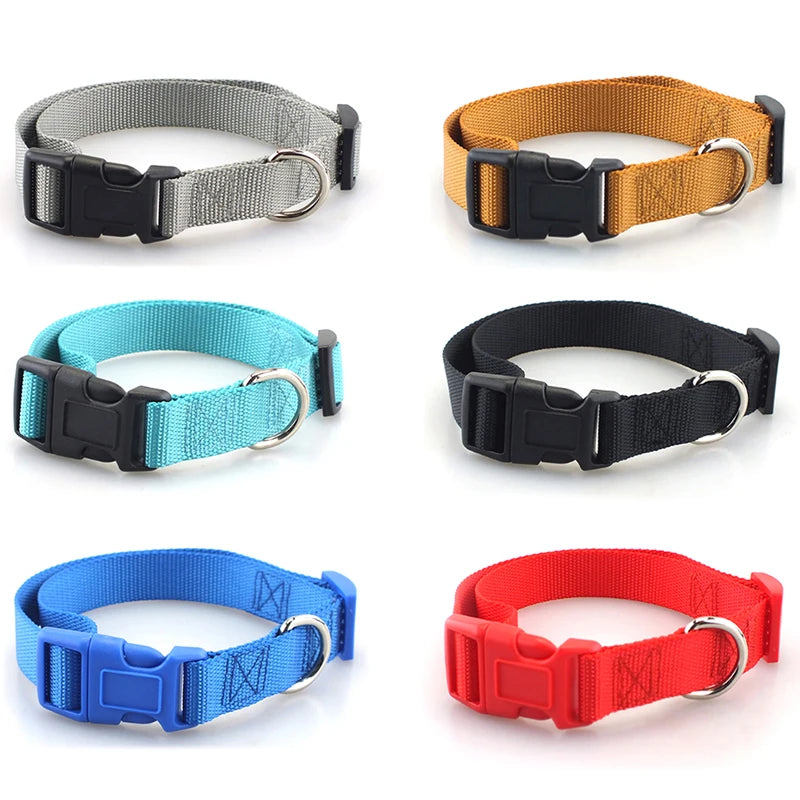 Adjustable Nylon Dog Collar for Small & Large Dogs – Durable & Safe