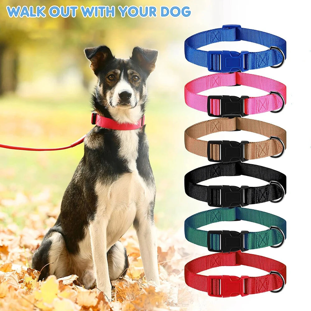 Adjustable Nylon Dog Collar for Small & Large Dogs – Durable & Safe