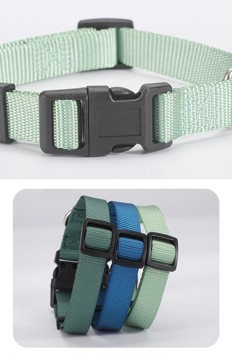 Adjustable Nylon Dog Collar for Small & Large Dogs – Durable & Safe