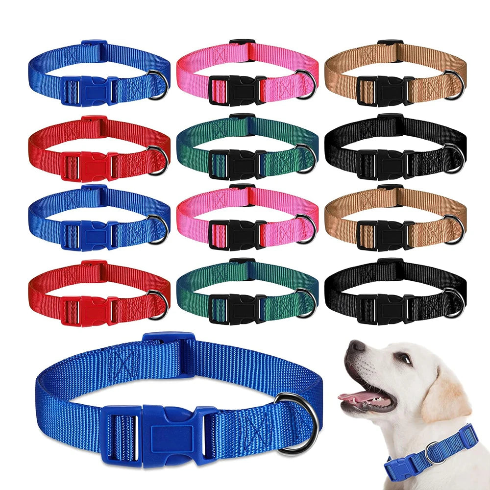 Adjustable Nylon Dog Collar for Small & Large Dogs – Durable & Safe