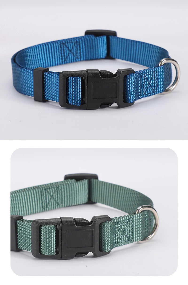 Adjustable Nylon Dog Collar for Small & Large Dogs – Durable & Safe
