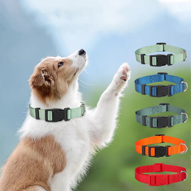 Adjustable Nylon Dog Collar for Small & Large Dogs – Durable & Safe