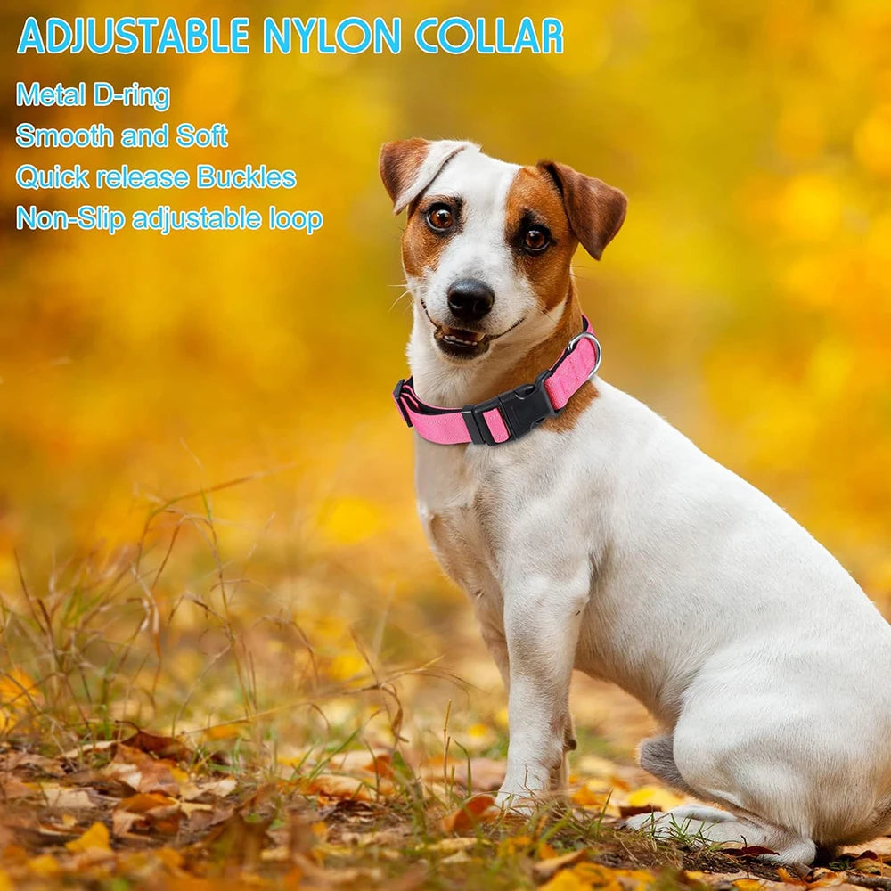 Adjustable Nylon Dog Collar for Small & Large Dogs – Durable & Safe